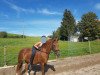 broodmare Samba Girl 2 (New Forest Pony, 2005, from Samba King)