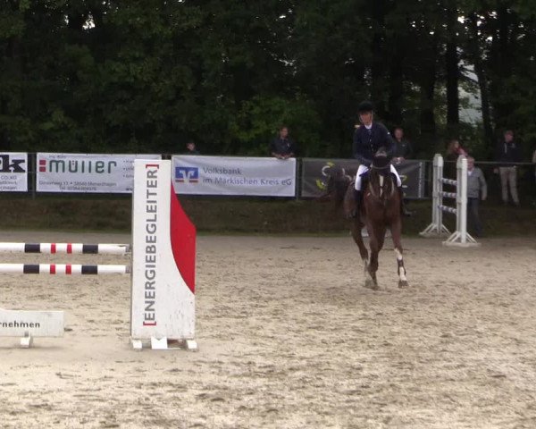 Springturnier Meinerzhagen 2015