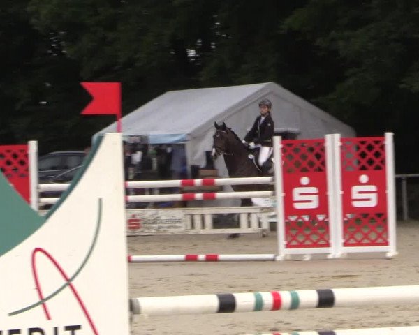 Springturnier Meinerzhagen 2015