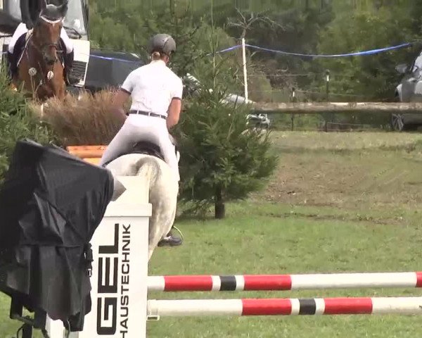 Reitturnier Leonberg 2015