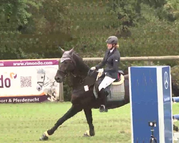 Reitturnier Leonberg 2015
