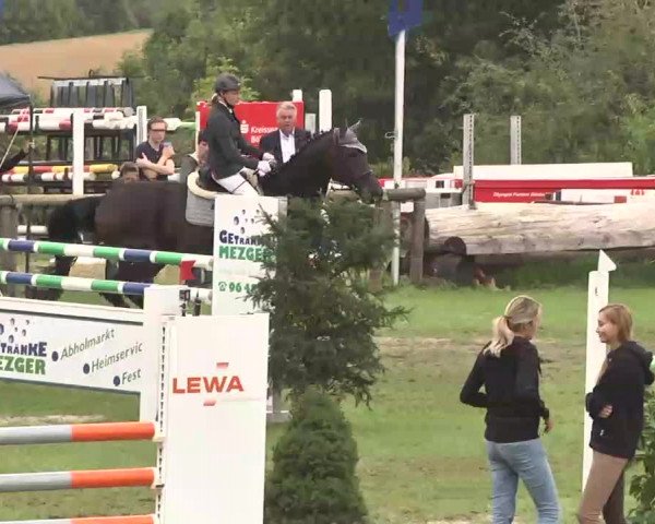 Reitturnier Leonberg 2015