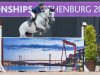 Springpferd H & M Cue Channa 42 (Schwedisches Warmblut, 2006, von VDL Cardento 933)