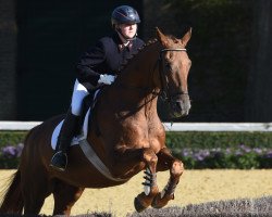 horse Freundchen (Trakehner, 2008, from Handryk)