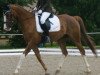 dressage horse Darlyng du Coinat CH (Swiss Warmblood, 2009, from Darwin de l'Oir)