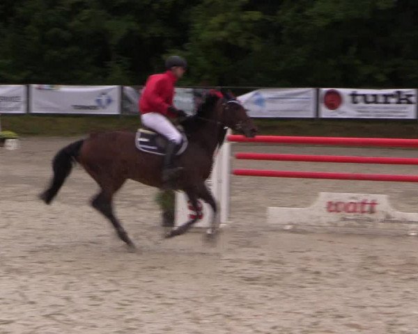 Springturnier Meinerzhagen 2015