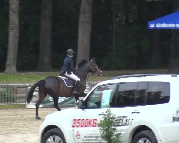 Wickrather Reitertage 2015