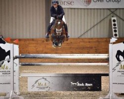 jumper Balladium (KWPN (Royal Dutch Sporthorse), 2006, from Heartbreaker)