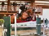 jumper Championesse (German Sport Horse, 2014, from Cartusch 21)