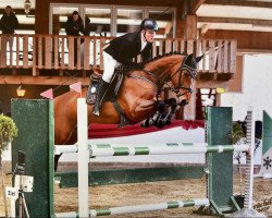 Springpferd Championesse (Deutsches Sportpferd, 2014, von Cartusch 21)