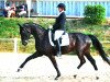 dressage horse Walinda 3 (Oldenburg, 2010, from Fidertanz)