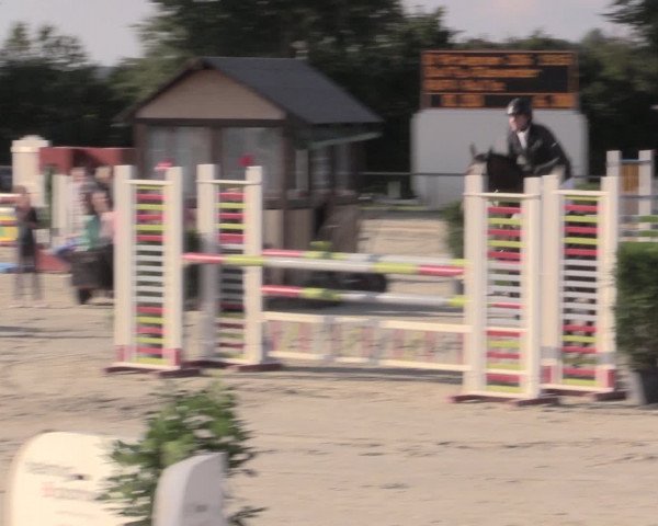 Reitturnier Appelhülsen 2015