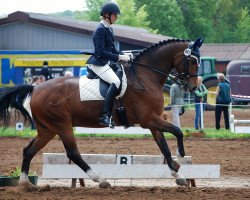 dressage horse Right Stuff (Hanoverian, 2001, from Rotspon)