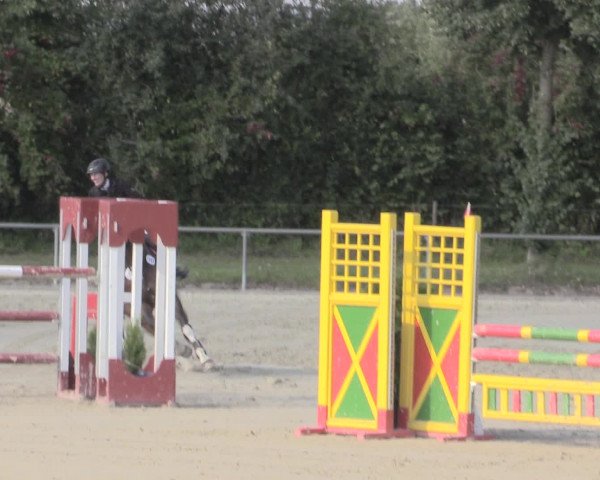Reitturnier Appelhülsen 2015