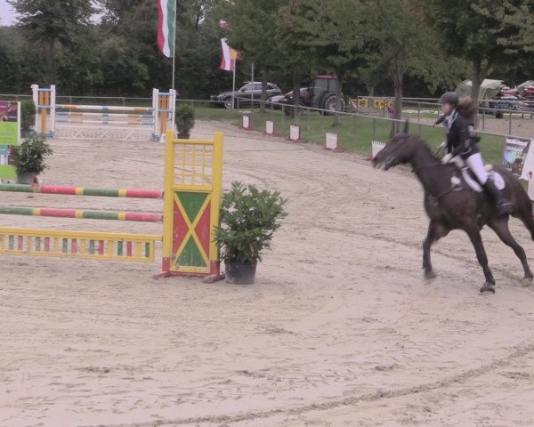 Reitturnier Appelhülsen 2015