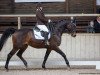 dressage horse Vincens Gg (Trakehner, 2005, from Epernay)