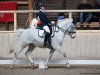 dressage horse Sunny 1088 (German Riding Pony, 2006, from Pantani)