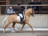 stallion Diamond Heart (German Riding Pony, 2008, from FS Don't Worry)