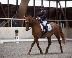 dressage horse Rouge Flair 2 (Rhinelander, 2005, from Moosbends Ricardos)