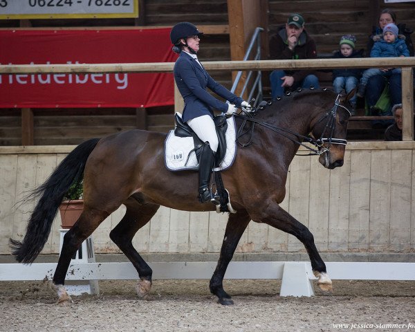 dressage horse Leondras (Hanoverian, 2010, from Krack C)