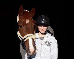 dressage horse Desperado's Fürst V (Oldenburg, 2016, from Desperado)