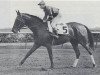 broodmare Real Delight xx (Thoroughbred, 1949, from Bull Lea xx)