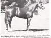 stallion Plum Bold xx (Thoroughbred, 1969, from Bold Ruler xx)