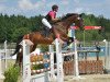 jumper Pan Tau 117 (Oldenburg show jumper, 2012, from Presley Boy)