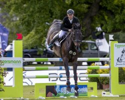 jumper Spirit 258 (Hanoverian, 2007, from Stolzenberg)