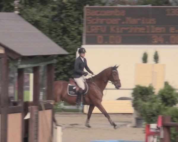 Reitturnier Appelhülsen 2015