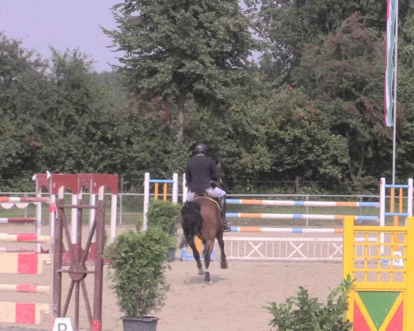 Reitturnier Appelhülsen 2015