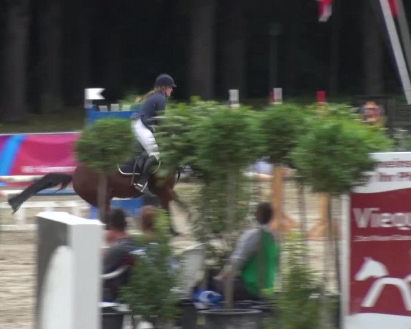 Wickrather Reitertage 2015