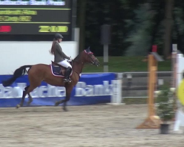 Wickrather Reitertage 2015