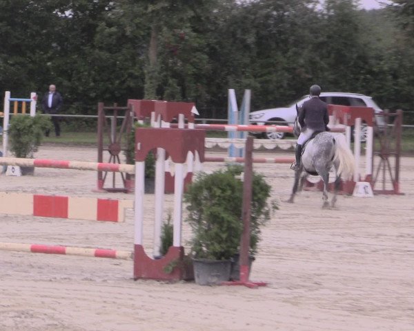 Reitturnier Appelhülsen 2015