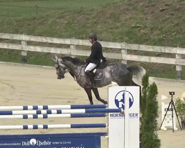 Reitturnier Linkenheim-Hochstetten 2015