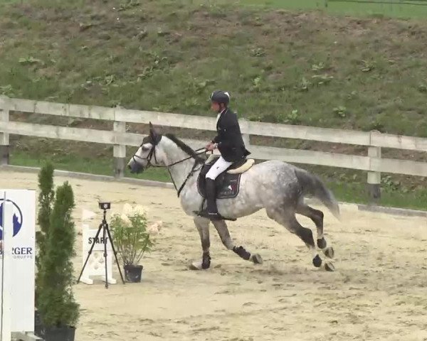 Reitturnier Linkenheim-Hochstetten 2015