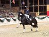 dressage horse Dark Dancer 22 (Hanoverian, 2007, from Dancier)