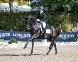 dressage horse Fuerst Fernando OLD (Oldenburg, 2013, from Fürstenball)