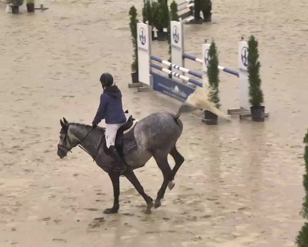Reitturnier Linkenheim-Hochstetten 2015