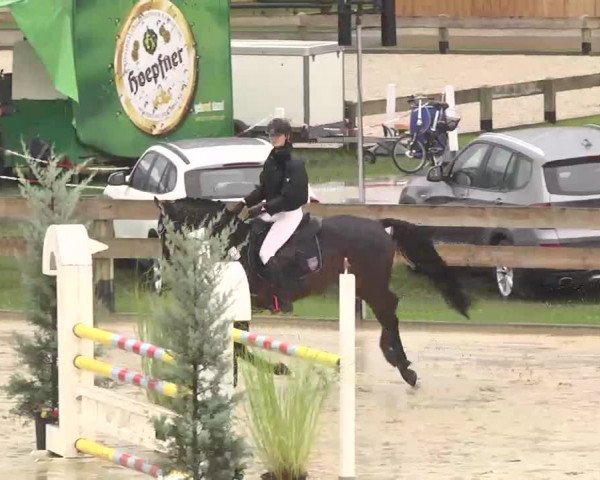 Reitturnier Linkenheim-Hochstetten 2015