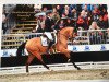 dressage horse D'Accord T 3 (German Riding Pony, 2016, from Dance For Me)