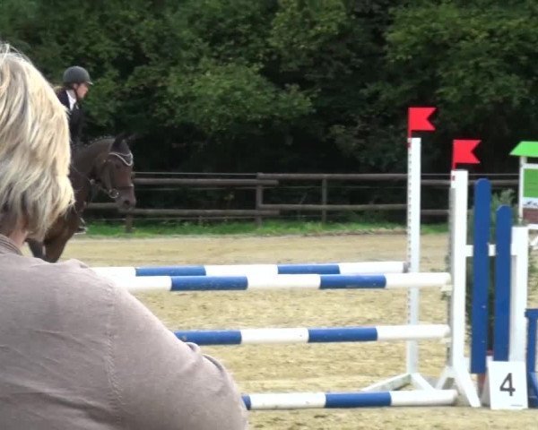 Reitturnier Bergisch Gladbach-Paffrath 2015