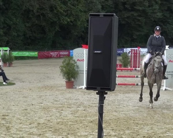 Reitturnier Bergisch Gladbach-Paffrath 2015