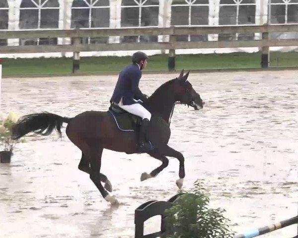 Reitturnier Linkenheim-Hochstetten 2015