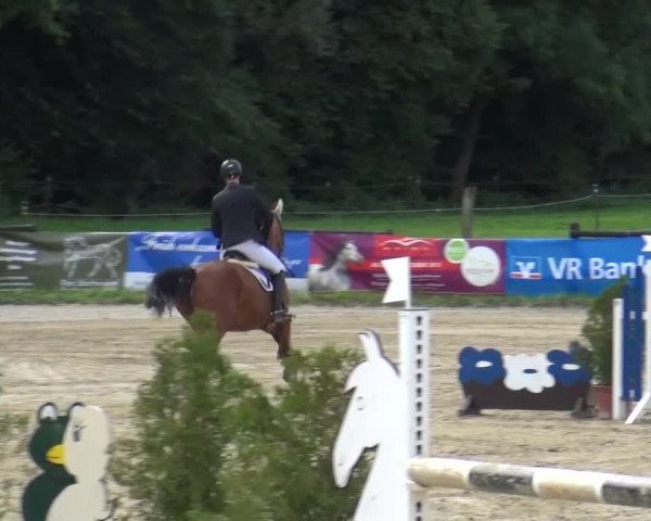 Reitturnier Bergisch Gladbach-Paffrath 2015