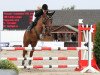 jumper Canta Loupe (German Sport Horse, 2006, from Corvalon)