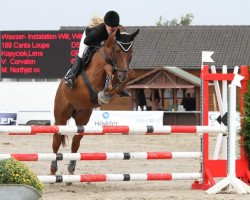 dressage horse Canta Loupe (Deutsches Sportpferd, 2006, from Corvalon)