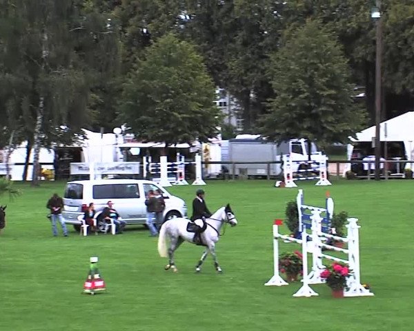 Reitturnier Bad Segeberg 2015