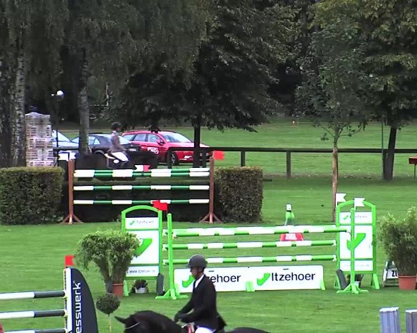 Reitturnier Bad Segeberg 2015