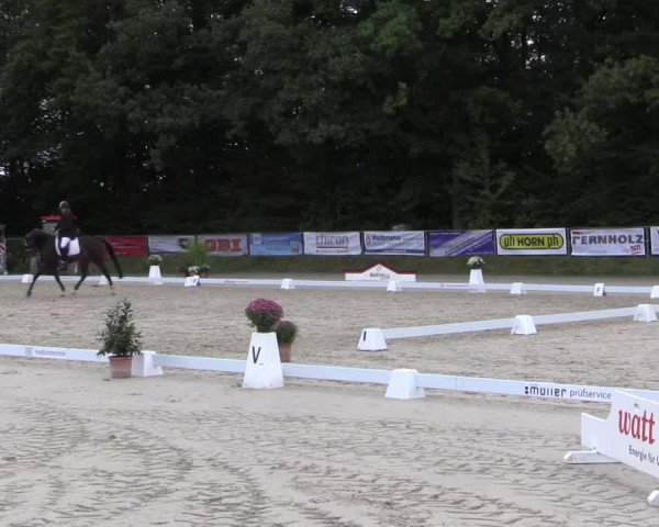 Dressurturnier Meinerzhagen 2015